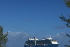 Cruise 2017