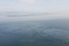 20190706_074244