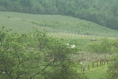 20190504_154023_025